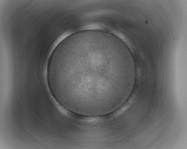 X0000112021426200908101353