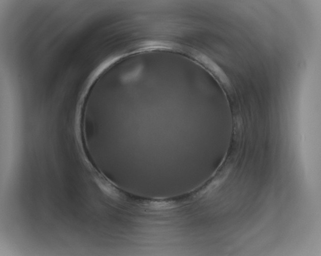 X0000112021427200908101353