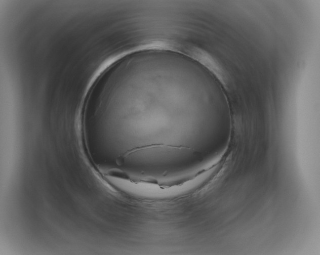 X0000112021428200908101353