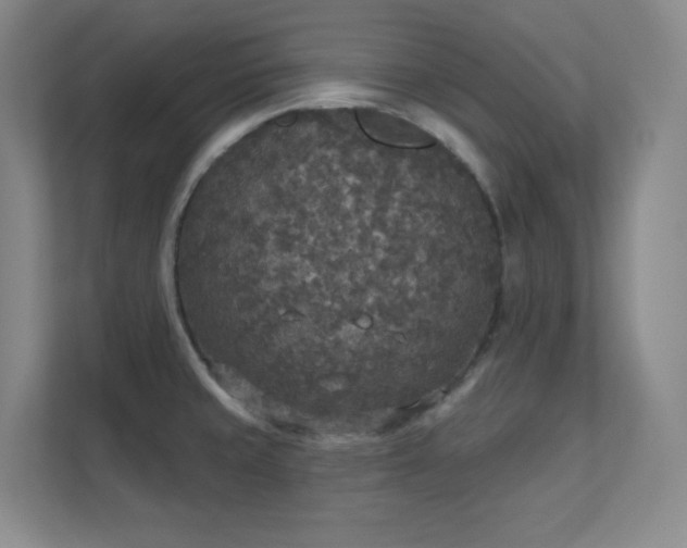 X0000112021429200908101353