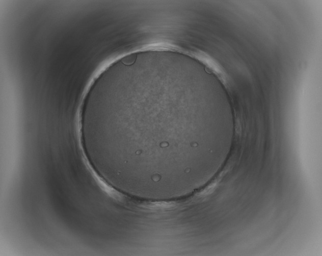 X0000112021430200908101353