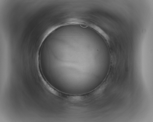 X0000112021431200908101353