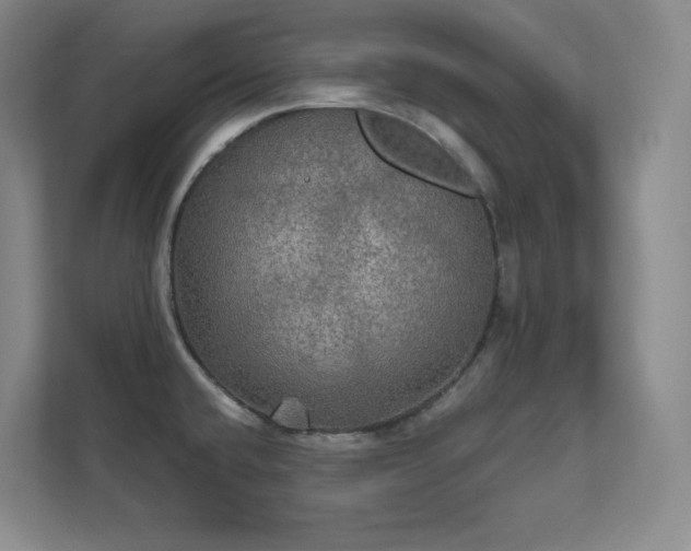 X0000112021432200908101353