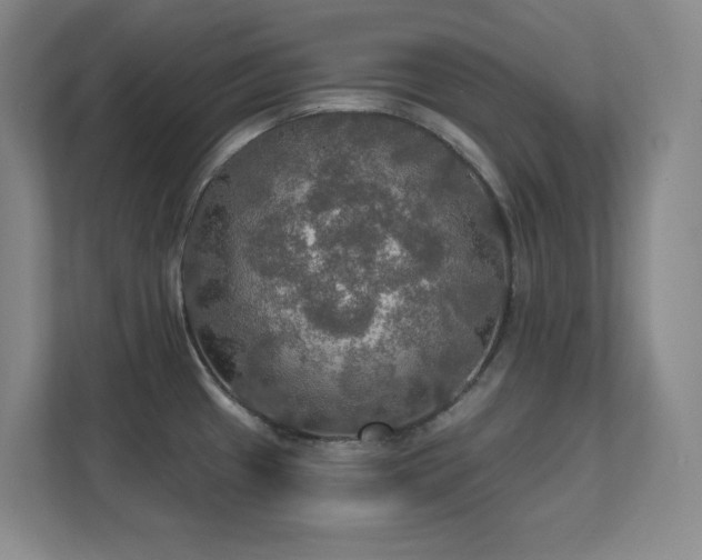 X0000112021433200908101353