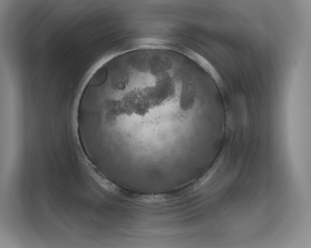 X0000112021435200908101353