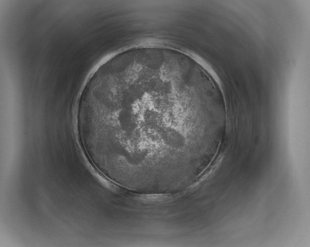 X0000112021437200908101353