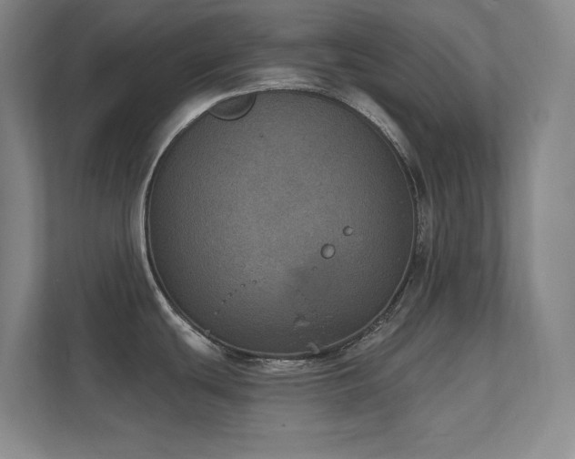 X0000112021439200908101353