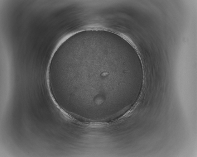 X0000112021440200908101353