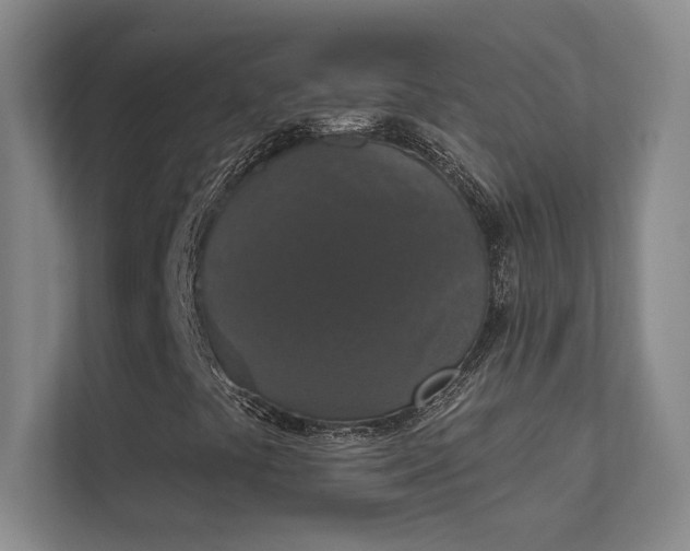 X0000112021441200908101352