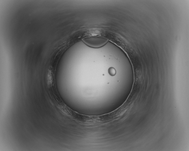 X0000112021442200908101352