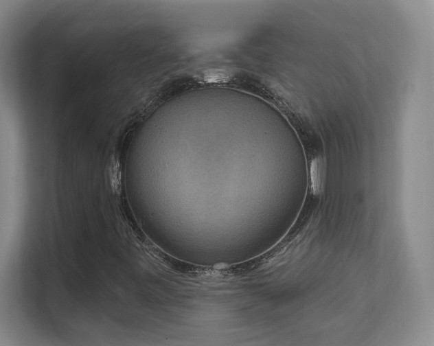 X0000112021443200908101352