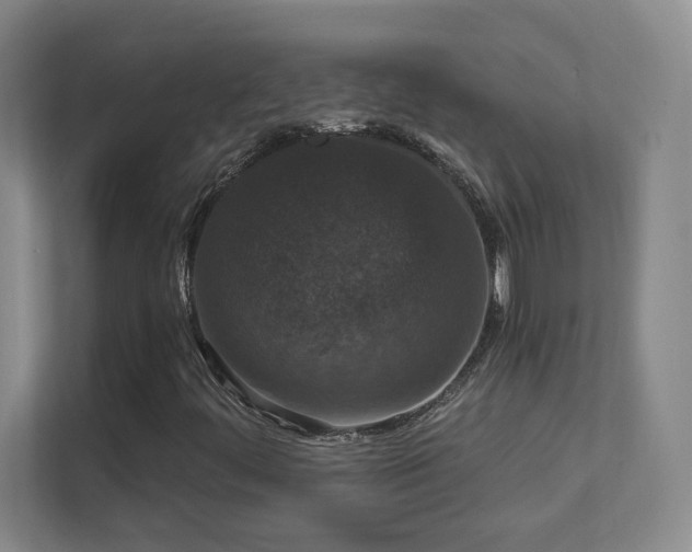 X0000112021444200908101352