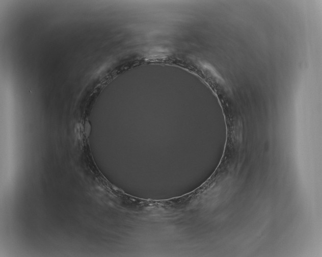 X0000112021445200908101352