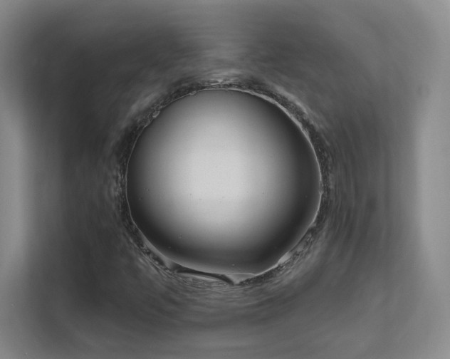 X0000112021447200908101352