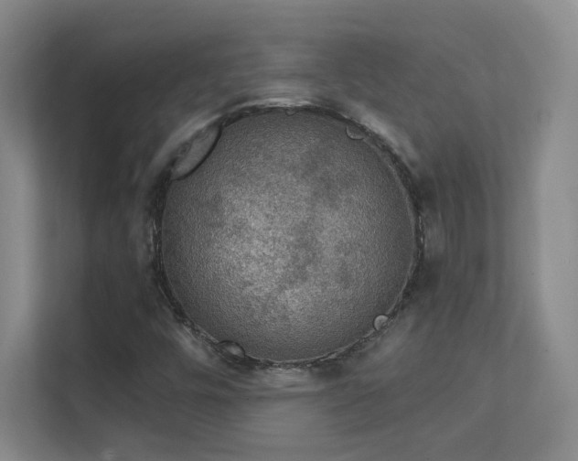 X0000112021448200908101352