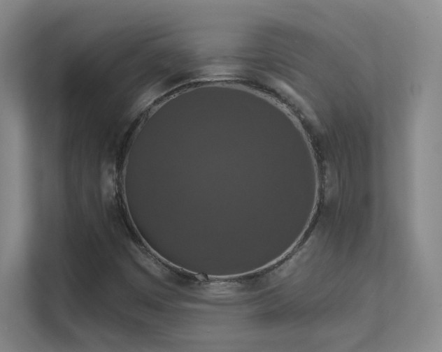 X0000112021449200908101352