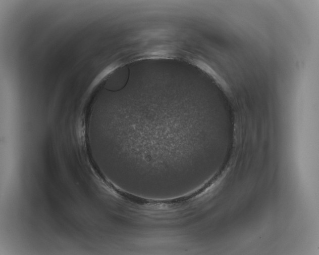 X0000112021450200908101352