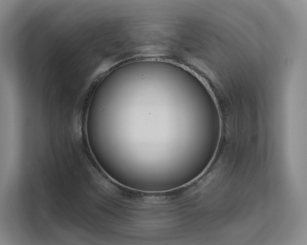 X0000112021451200908101352