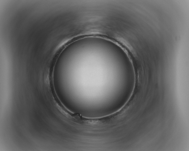 X0000112021452200908101352