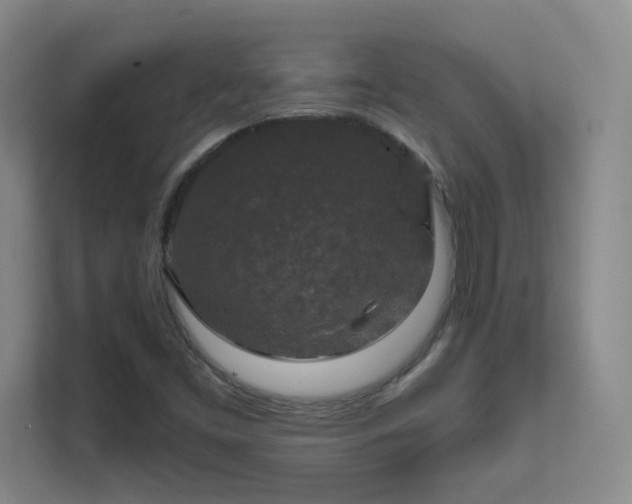 X0000112021453200908101352