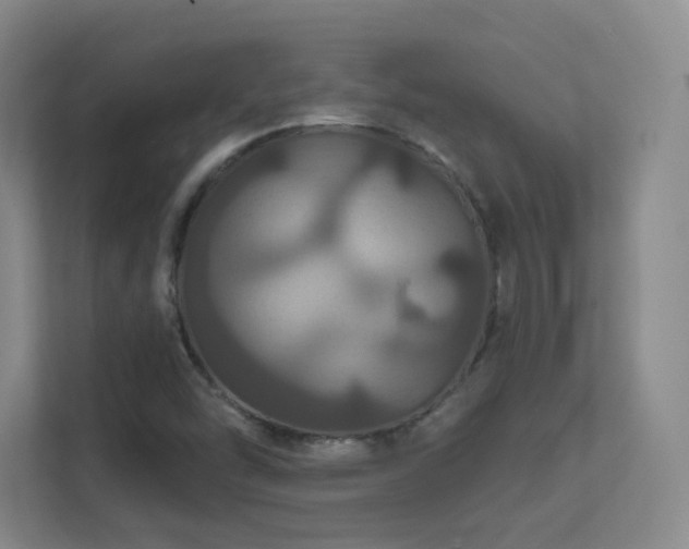 X0000112021454200908101352