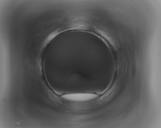 X0000112021455200908101352