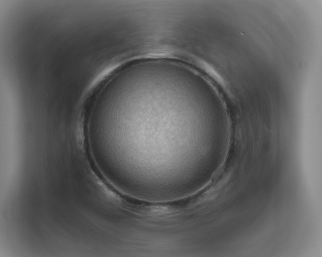 X0000112021456200908101352