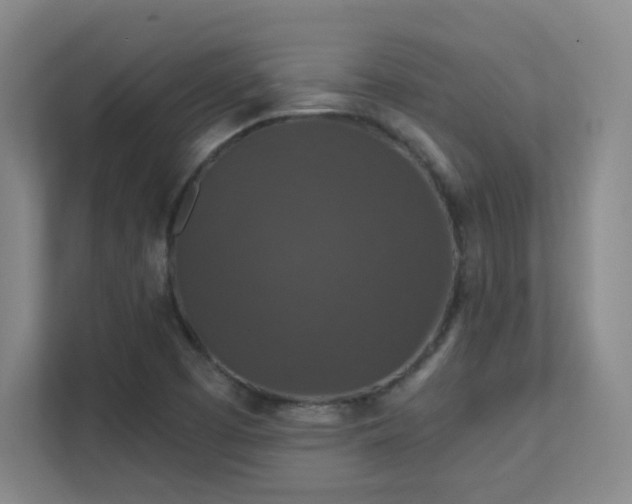 X0000112021457200908101352