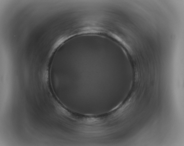 X0000112021459200908101352