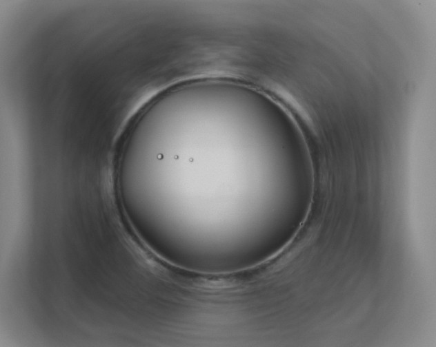 X0000112021460200908101352