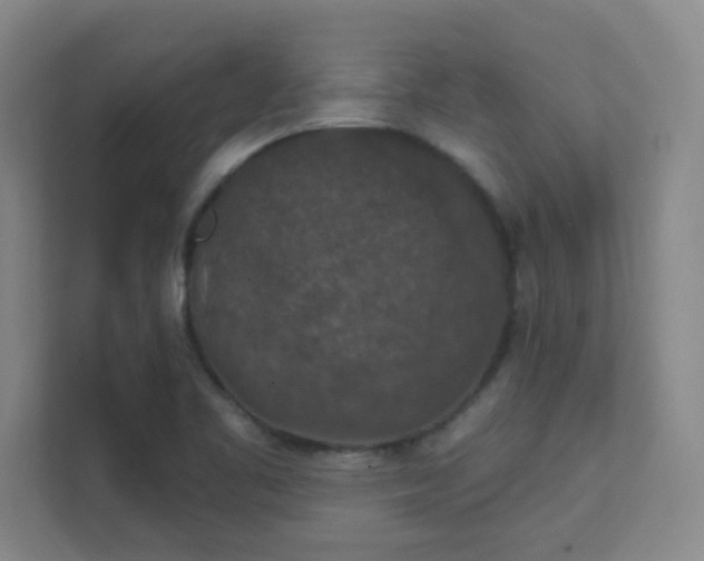 X0000112021461200908101352