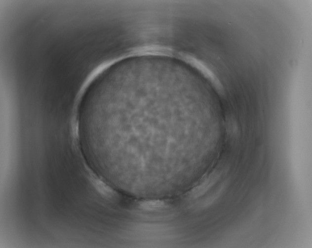 X0000112021462200908101352