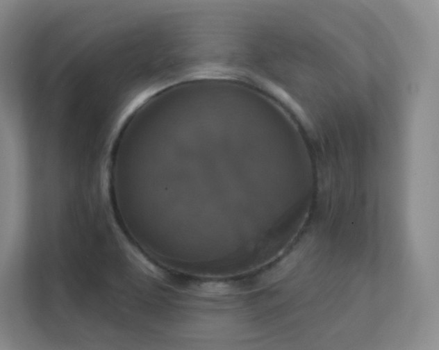 X0000112021463200908101352