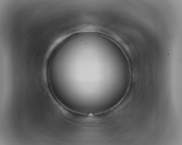 X0000112021464200908101352