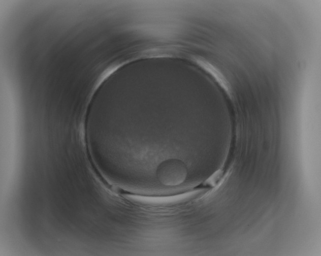 X0000112021465200908101352