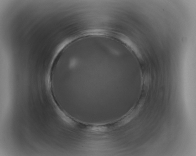 X0000112021466200908101352