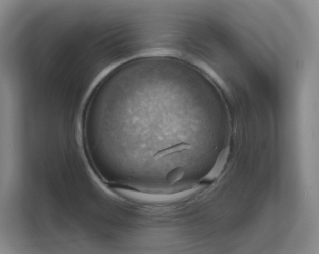 X0000112021468200908101352