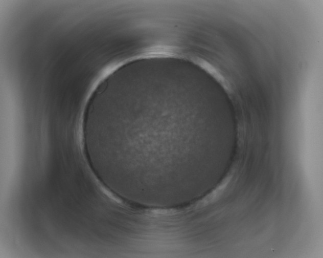 X0000112021469200908101352