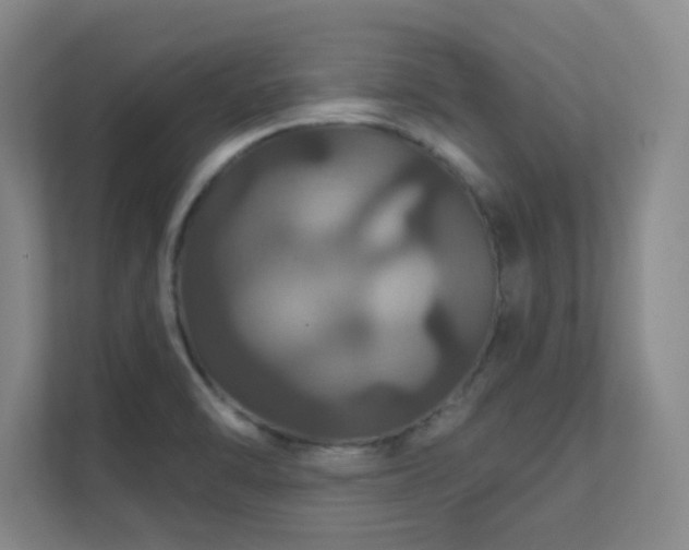 X0000112021470200908101352