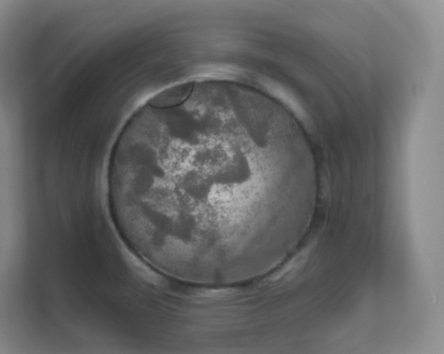 X0000112021471200908101352