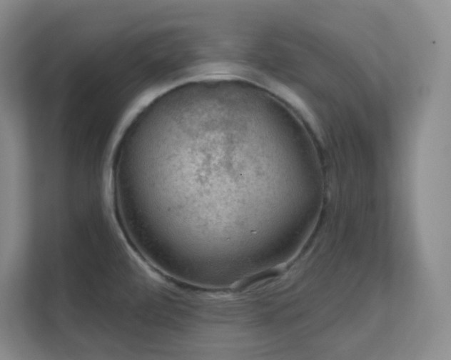 X0000112021472200908101352