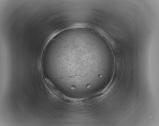 X0000112021473200908101352