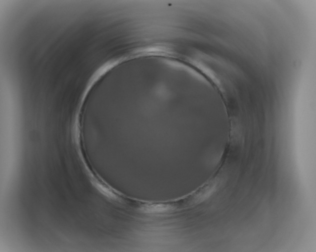 X0000112021474200908101352