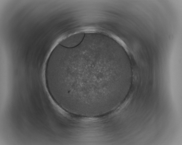 X0000112021475200908101352