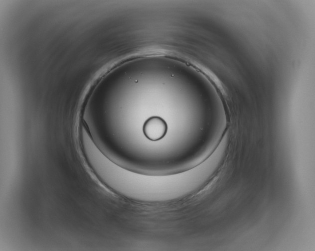 X0000112021477200908101352