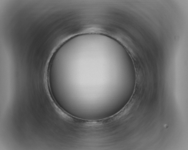 X0000112021478200908101352