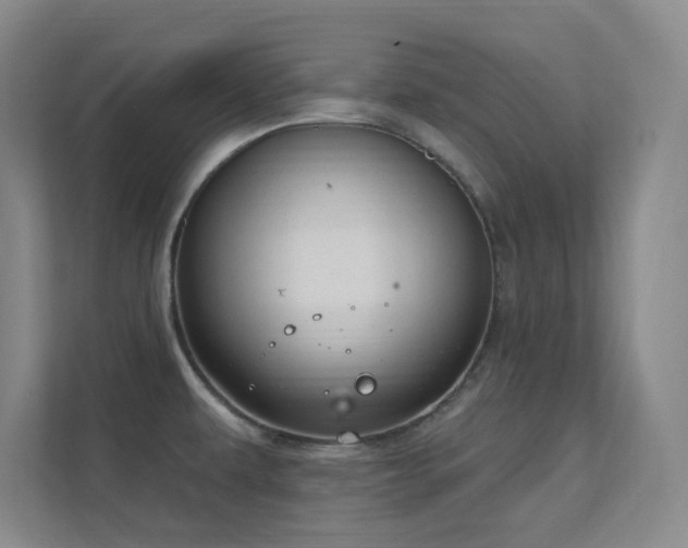 X0000112021479200908101352