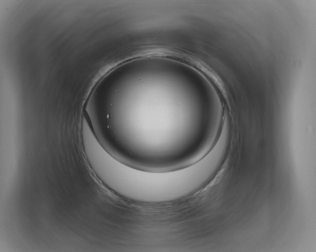 X0000112021481200908101352