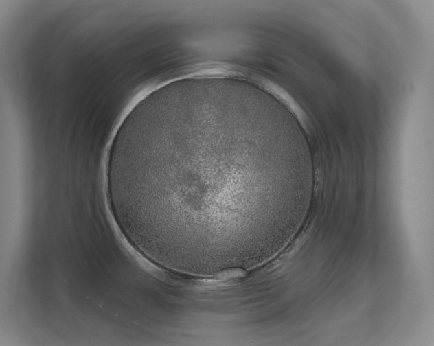 X0000112021483200908101352