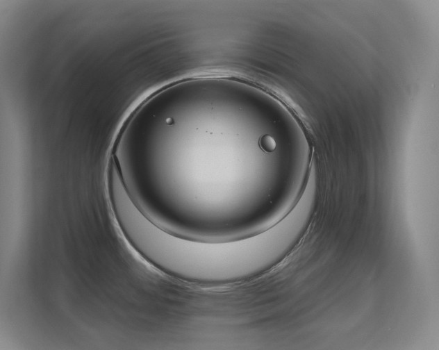 X0000112021484200908101352